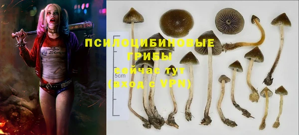СК Алексеевка