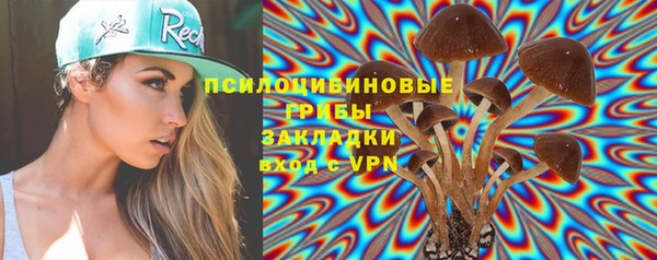 ПСИЛОЦИБИНОВЫЕ ГРИБЫ Алексин