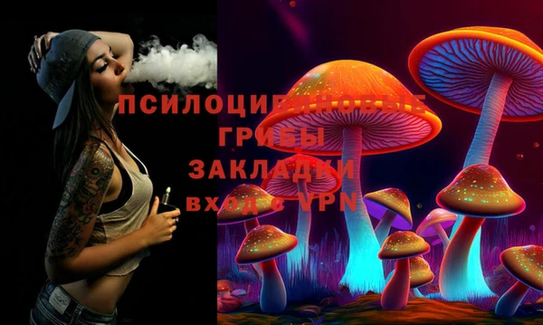 ПСИЛОЦИБИНОВЫЕ ГРИБЫ Алексин