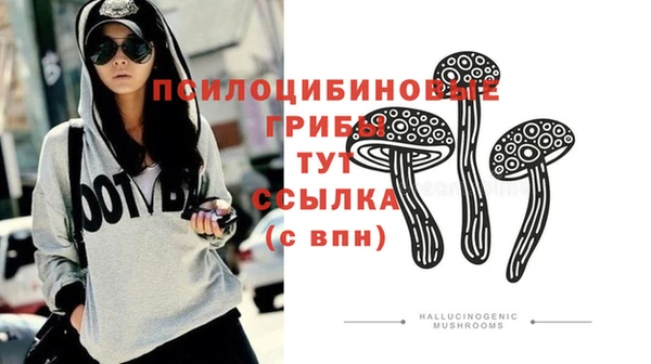 jwh Алзамай