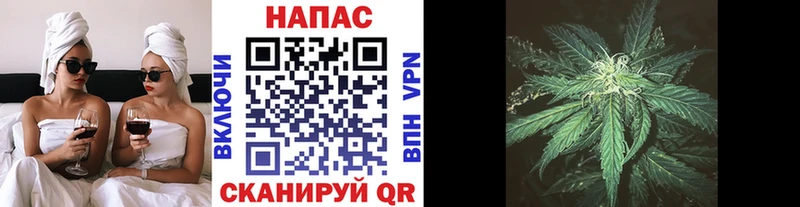 Каннабис конопля  blacksprut как войти  Северская 